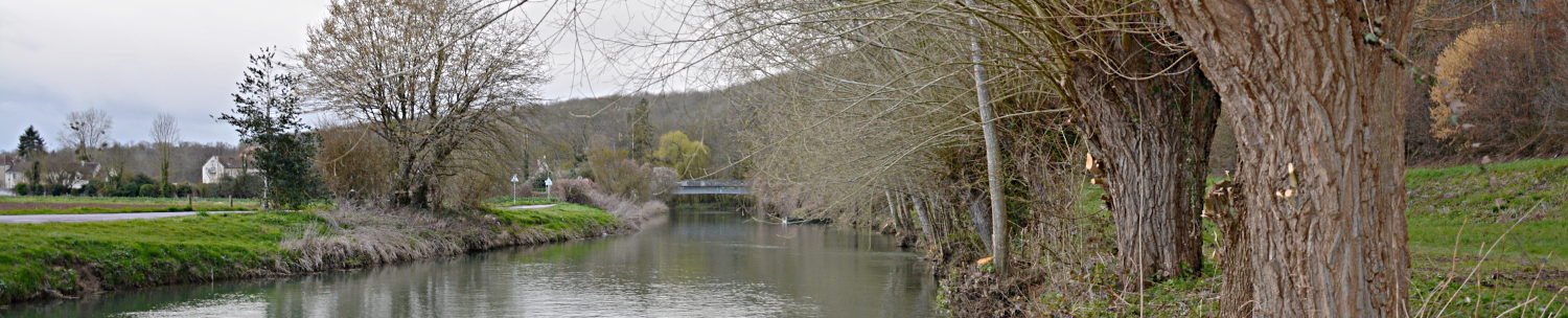 Les brionautes de Crécy la Chapelle et du Pays Créçois