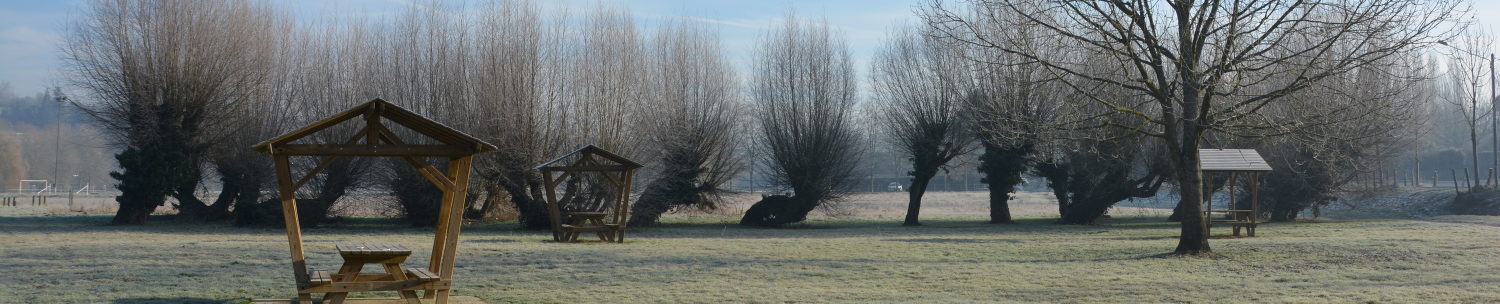 Les brionautes de Crécy la Chapelle et du Pays Créçois